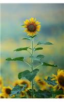 Sunflower Notebook