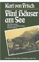 Funf Hauser Am See