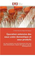 Épuration extensive des eaux usées domestique et sous produits