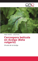 Cercospora beticola en Acelga (Beta vulgaris)