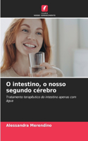 O intestino, o nosso segundo cérebro