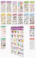 My First ALL IN ONE SPIRAL CHART (ENGLISH-HINDI) 6 : Early Learning Chart Book Collections, Chart Book With 16 Topics, gift for Kids