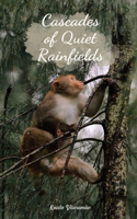 Cascades of Quiet Rainfields