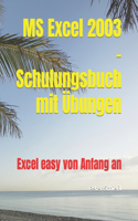 MS Excel 2003 - Schulungsbuch mit Übungen