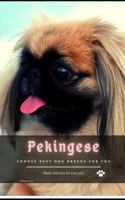 Pekingese