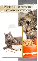 Popular Dry Sensitive Stomach Cat Foods: Cat Meows & Cries at Night
