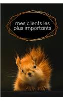 Mes clients les plus importants