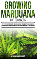Growing Marijuana for Beginners
