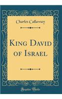 King David of Israel (Classic Reprint)