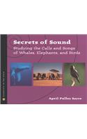 Secrets of Sound