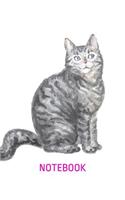Notebook: Sitting Silver Tabby Cat - Lined, Empty Journal for Your Personal Recipe Compilation - 6x9'', 110 Pages