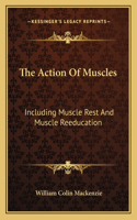 Action of Muscles