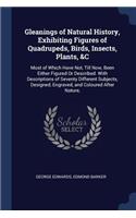 Gleanings of Natural History, Exhibiting Figures of Quadrupeds, Birds, Insects, Plants, &C