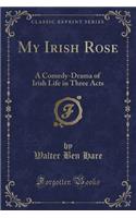 My Irish Rose