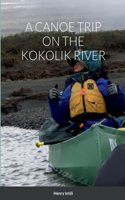 Canoe Trip on the Kokolik River