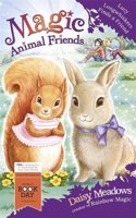 Lucy Longwhiskers Finds a Friend: (Magic Animal Friends)