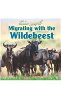 Migrating with the Wildebeest