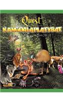 Quest For The Kangoalaplatybat