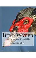Bird Water