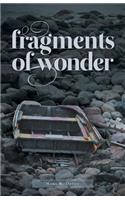 Fragments of Wonder