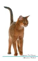 Abyssinian Cat Affirmations Workbook Abyssinian Cat Presents: Positive and Loving Affirmations Workbook. Includes: Mentoring Questions, Guidance, Supporting You.