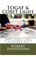 TOGAF & COBIT Light