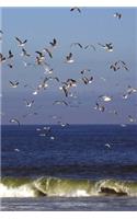 Flock of Seagulls on the Coast Journal: 150 page lined notebook/diary