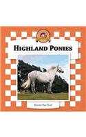Highland Ponies