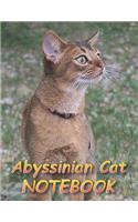 Abyssinian Cat NOTEBOOK