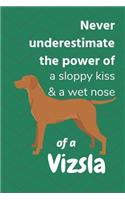 Never underestimate the power of a sloppy kiss & a wet nose of a Vizsla: For Vizsla Dog Fans