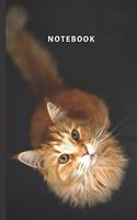 Notebook: Password Book with Sweet Cat, Discrete Password Journal, Organizer Passwords