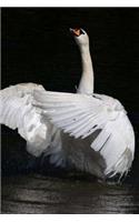 Swan Notebook