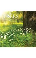 Trees Calendar 2019: 16 Month Calendar