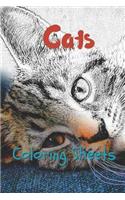 Cat Coloring Sheets: 30 Cat Drawings, Coloring Sheets Adults Relaxation, Coloring Book for Kids, for Girls, Volume 3