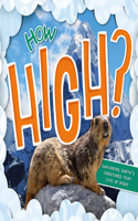 How High?