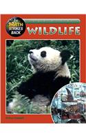 Wildlife