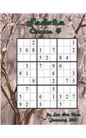 Sudoku Craze 4