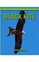 Black Kite: Amazing Fun Facts and Pictures about Black Kite for Kids