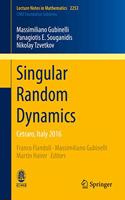 Singular Random Dynamics