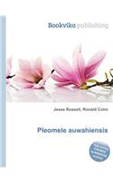 Pleomele Auwahiensis: (English)