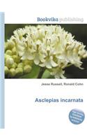 Asclepias Incarnata
