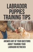 Labrador Puppies Training Tips: Answer Any Of Your Questions About Training Your Labrador Retriever: How To Train Labradors