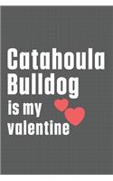 Catahoula Bulldog is my valentine: For Catahoula Bulldog Fans