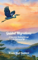 Guided Migrations