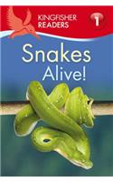 Snakes Alive!
