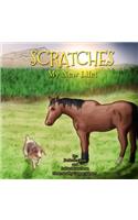 Scratches