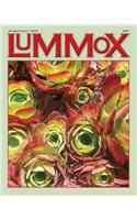 Lummox Number Eight