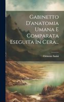 Gabinetto D'anatomia Umana E Comparata Eseguita In Cera...