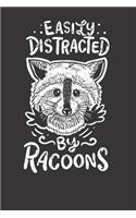 Notebook 6x9 120 Pages: Racoon Easily Distracted By Racoons Cute Vintage