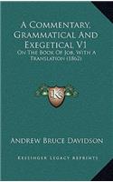 Commentary, Grammatical And Exegetical V1: On The Book Of Job, With A Translation (1862)